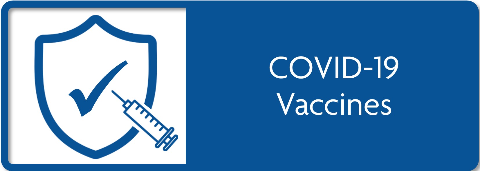 COVID-19 Vaccines